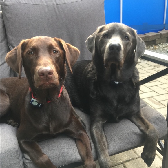 Meet your Posher, Brix, Tec & Trip - Picture 4 of 9